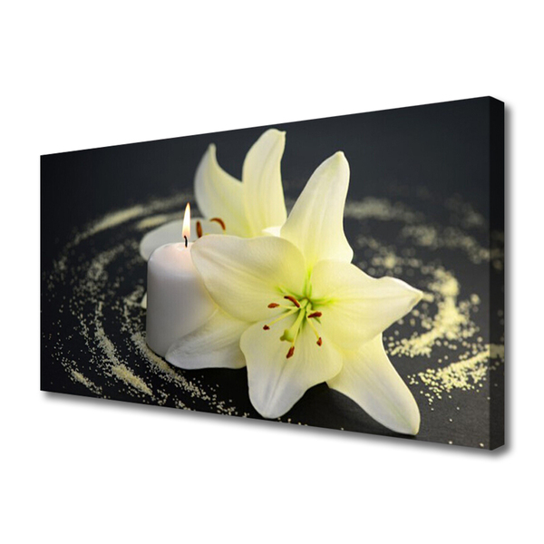 Quadro em tela Flor Planta Natureza