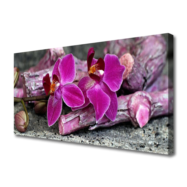 Quadro canvas Flores de madeira Planta Natureza
