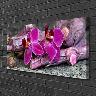 Quadro canvas Flores de madeira Planta Natureza