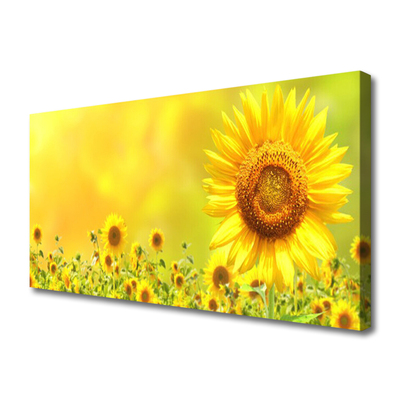 Quadro canvas Planta de flor de girassol