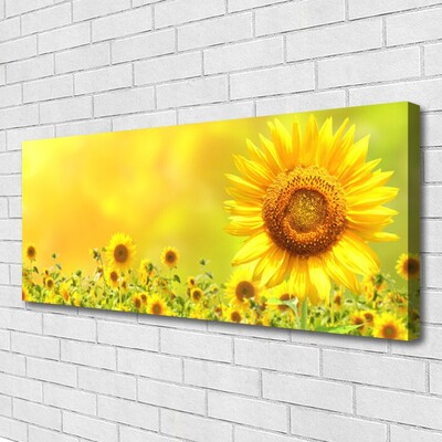 Quadro canvas Planta de flor de girassol