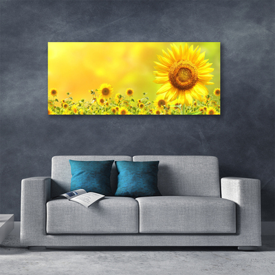 Quadro canvas Planta de flor de girassol