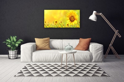 Quadro canvas Planta de flor de girassol