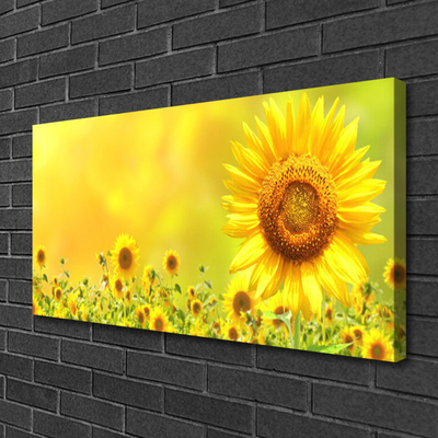 Quadro canvas Planta de flor de girassol