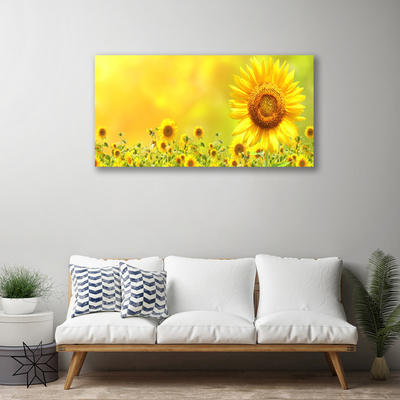 Quadro canvas Planta de flor de girassol