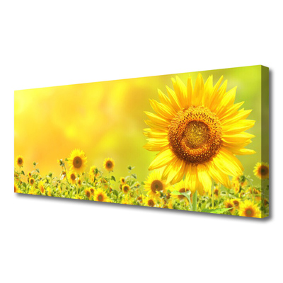 Quadro canvas Planta de flor de girassol