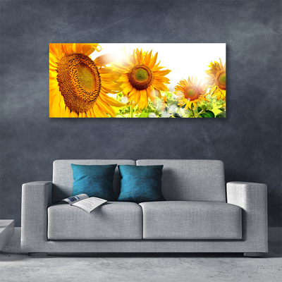 Quadro em tela Planta de flor de girassol