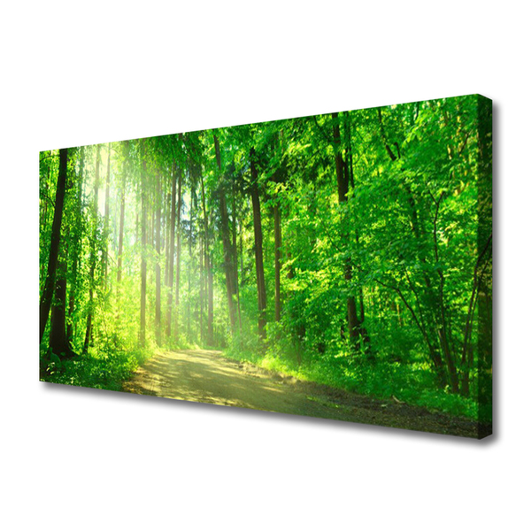 Quadro canvas Caminho na floresta Árvores Natureza