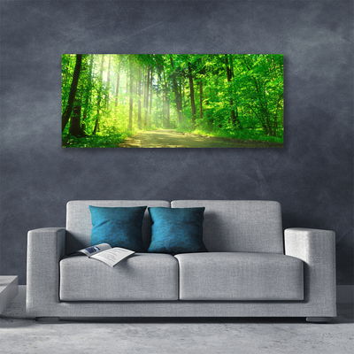 Quadro canvas Caminho na floresta Árvores Natureza