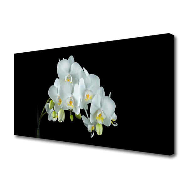 Quadro em tela Flores Planta Natureza