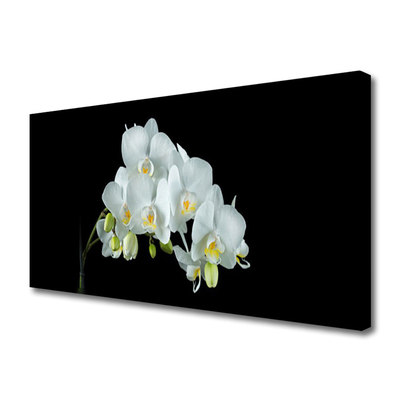 Quadro em tela Flores Planta Natureza