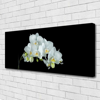 Quadro em tela Flores Planta Natureza