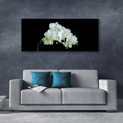 Quadro em tela Flores Planta Natureza