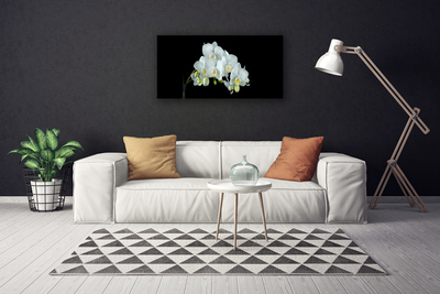 Quadro em tela Flores Planta Natureza