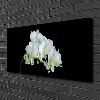 Quadro em tela Flores Planta Natureza