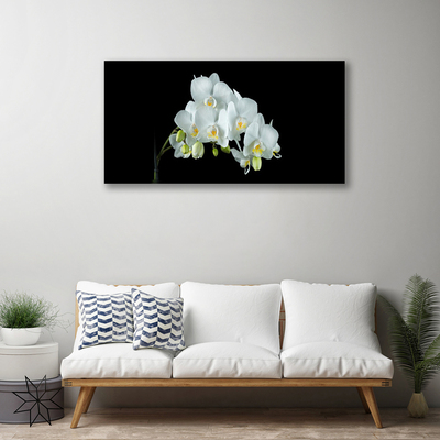 Quadro em tela Flores Planta Natureza