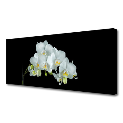 Quadro em tela Flores Planta Natureza