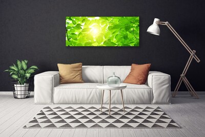 Quadro canvas Folhas Natureza Sol Planta