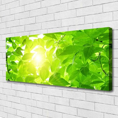 Quadro canvas Folhas Natureza Sol Planta