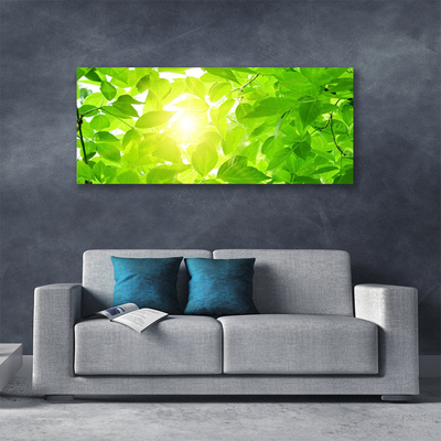 Quadro canvas Folhas Natureza Sol Planta