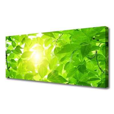 Quadro canvas Folhas Natureza Sol Planta