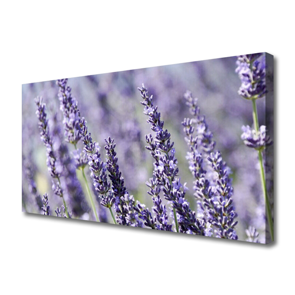 Quadro canvas Flores Planta Natureza