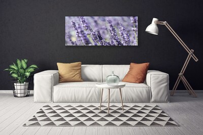 Quadro canvas Flores Planta Natureza