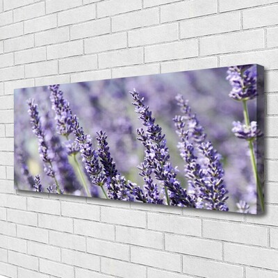Quadro canvas Flores Planta Natureza