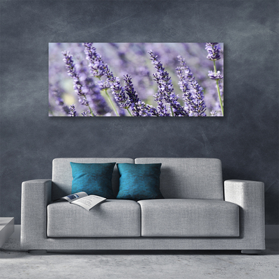 Quadro canvas Flores Planta Natureza