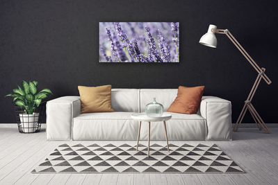 Quadro canvas Flores Planta Natureza