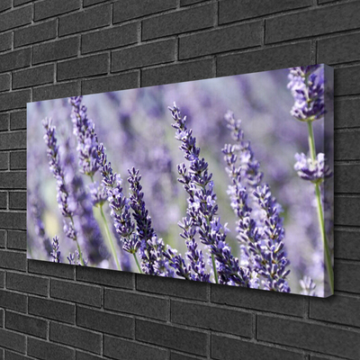 Quadro canvas Flores Planta Natureza