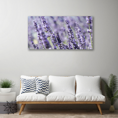 Quadro canvas Flores Planta Natureza