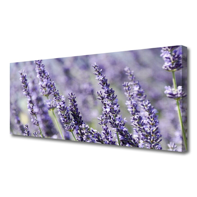 Quadro canvas Flores Planta Natureza