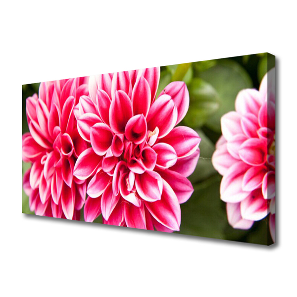 Quadro em tela Flores Planta Natureza