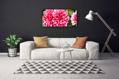 Quadro em tela Flores Planta Natureza