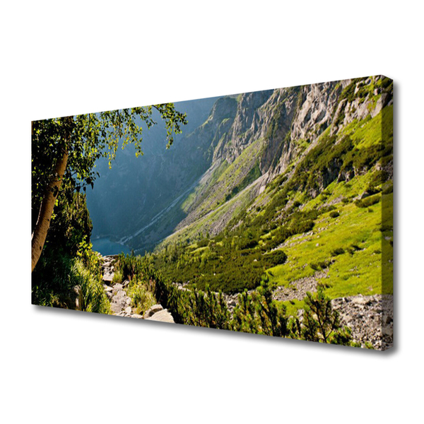 Quadro canvas Natureza da Floresta da Montanha