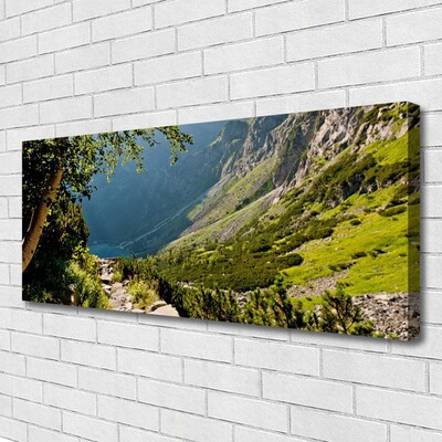 Quadro canvas Natureza da Floresta da Montanha