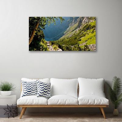 Quadro canvas Natureza da Floresta da Montanha