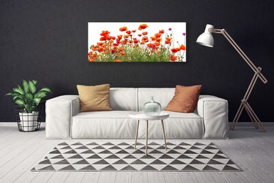Quadro canvas Papoulas Plantam Natureza