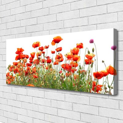 Quadro canvas Papoulas Plantam Natureza