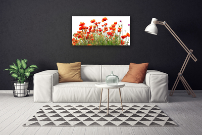 Quadro canvas Papoulas Plantam Natureza