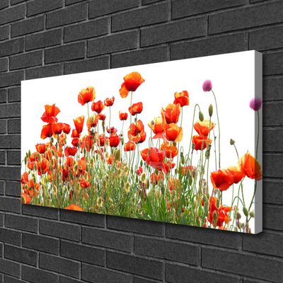 Quadro canvas Papoulas Plantam Natureza