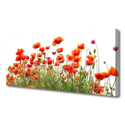 Quadro canvas Papoulas Plantam Natureza