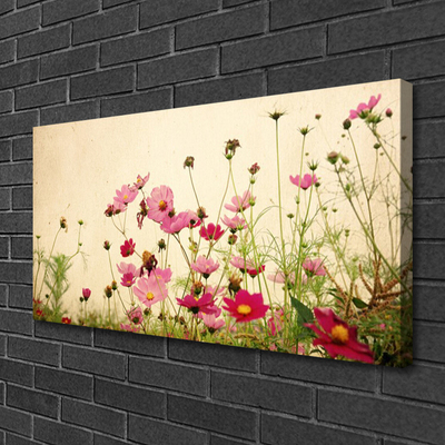 Quadro em tela Flores Planta Natureza