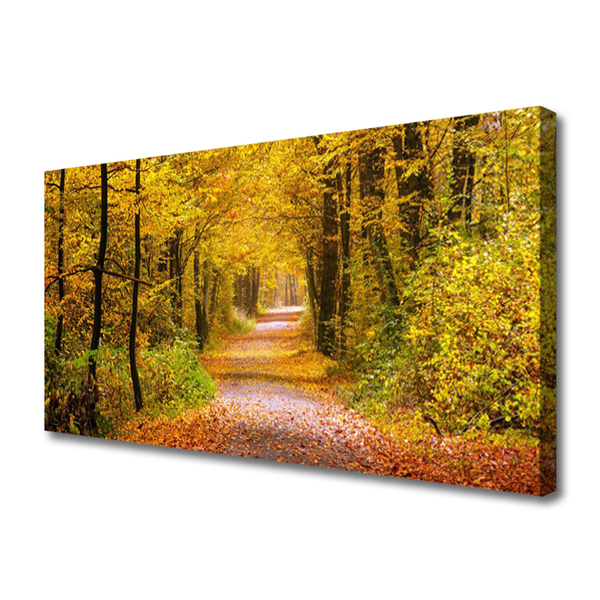 Quadro canvas Caminho da Planta Florestal Natureza