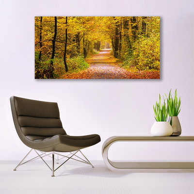 Quadro canvas Caminho da Planta Florestal Natureza