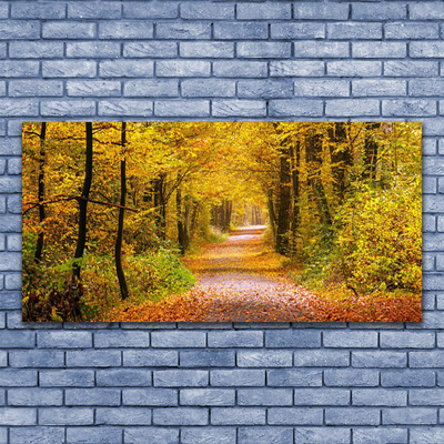 Quadro canvas Caminho da Planta Florestal Natureza