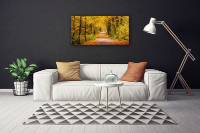 Quadro canvas Caminho da Planta Florestal Natureza