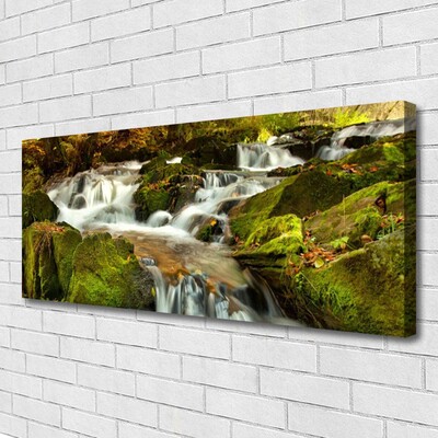 Quadro em tela Cachoeira Nature Rocks