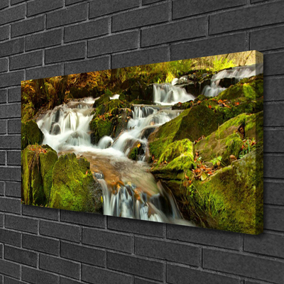 Quadro em tela Cachoeira Nature Rocks
